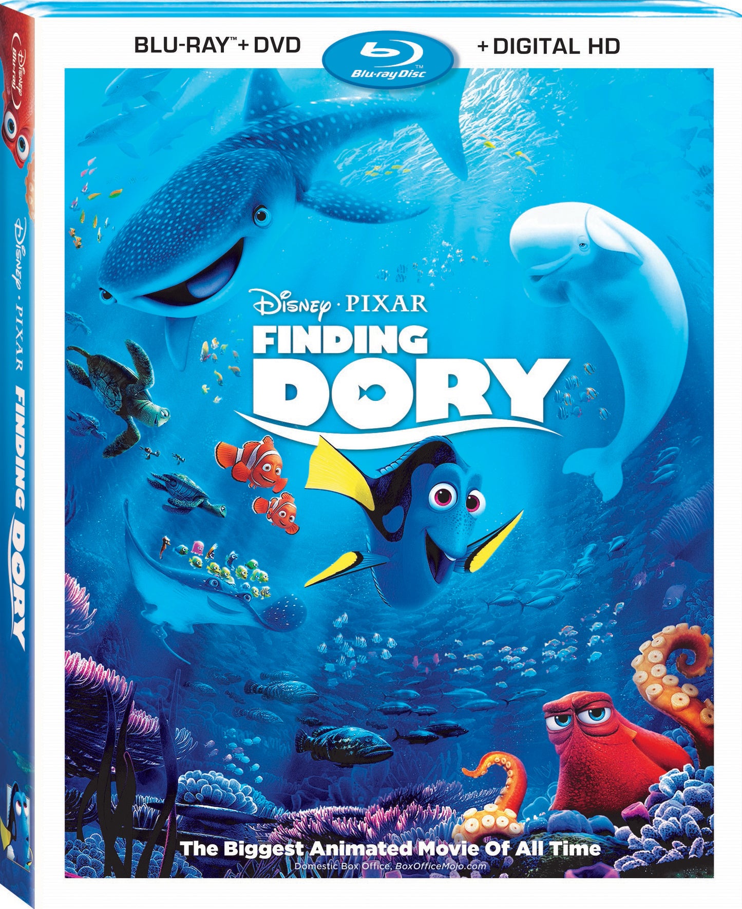 Finding Dory (Slip)