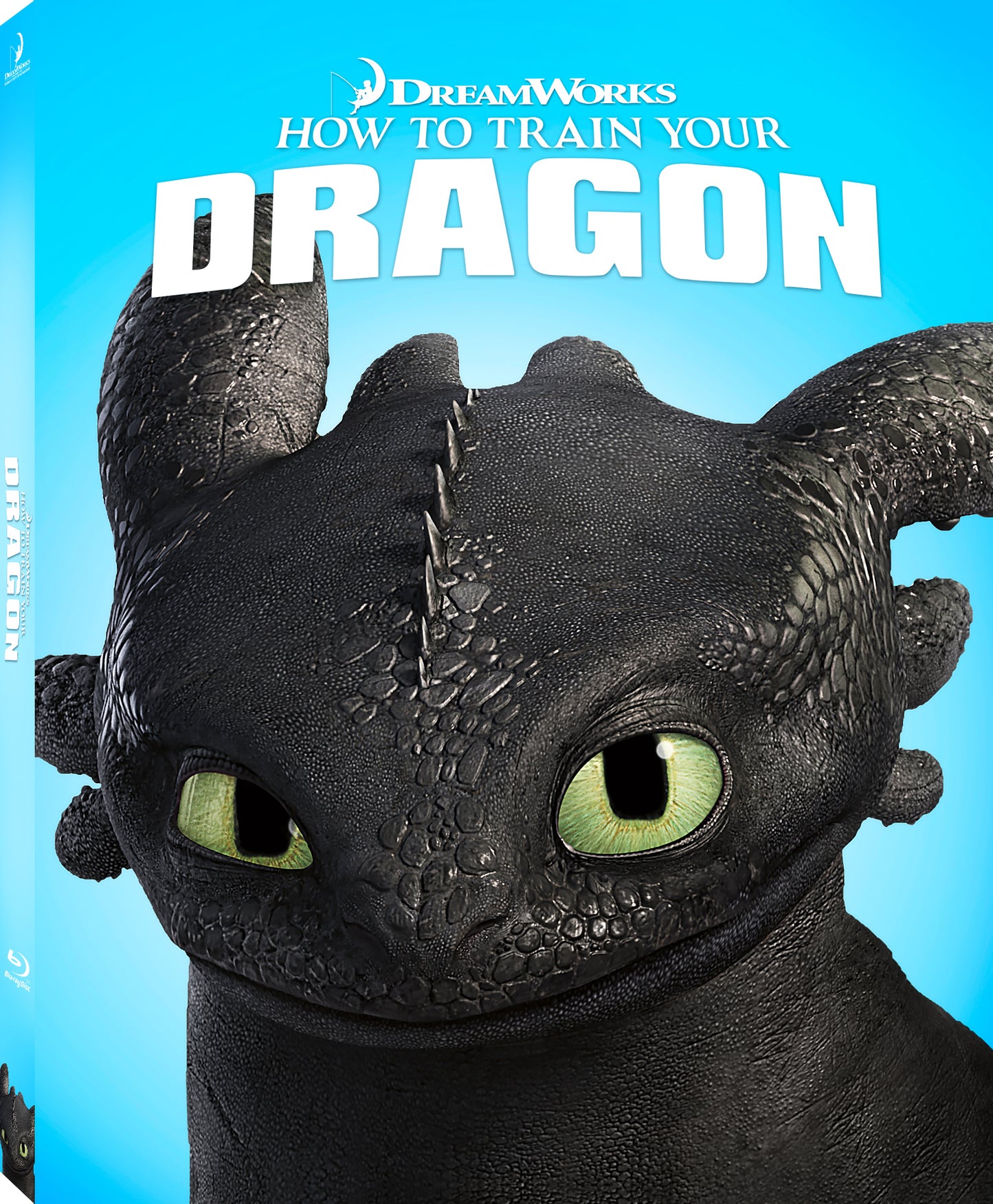 How to Train Your Dragon: Family Edition (2010)(Slip)