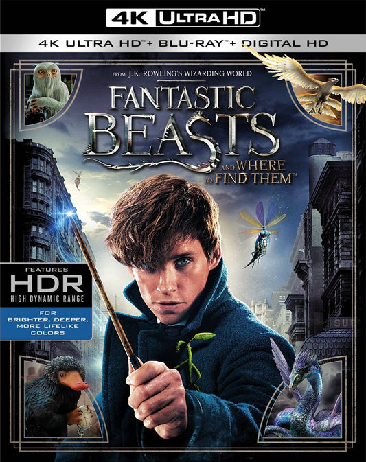 Fantastic Beasts and Where to Find Them 4K (Slip)