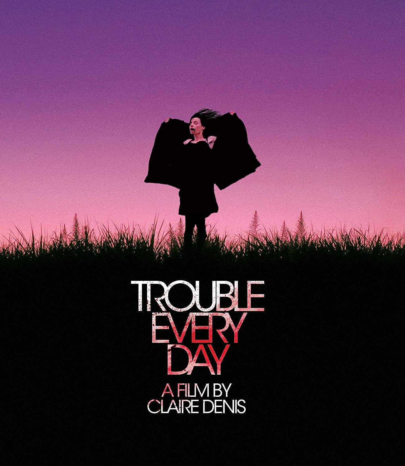 Trouble Every Day: Limited Edition (TFD-001)(Exclusive)
