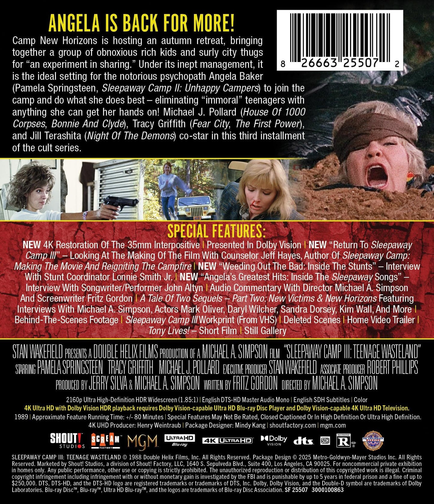 Sleepaway Camp III: Teenage Wasteland - Collector's Edition