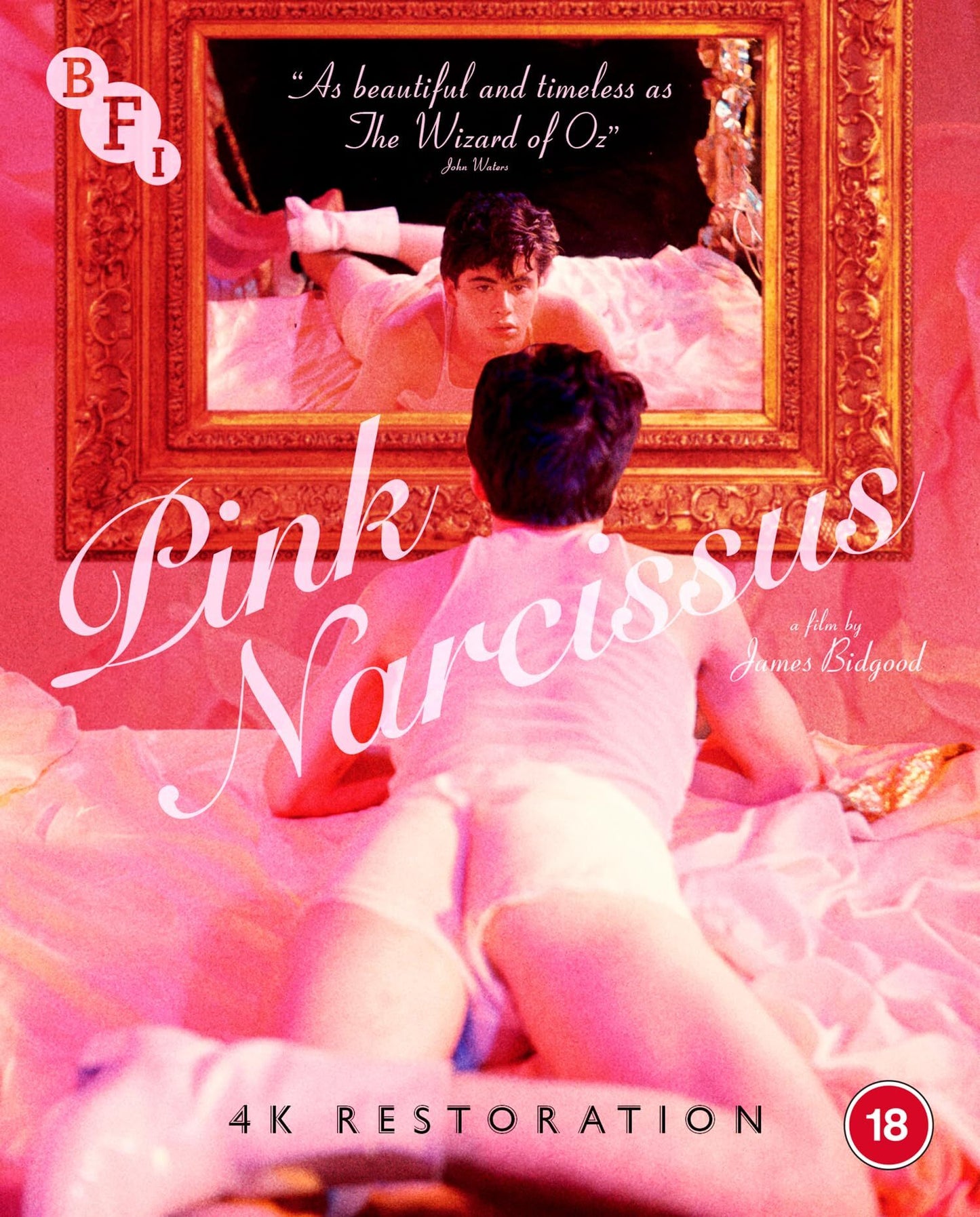 Pink Narcissus (UK)