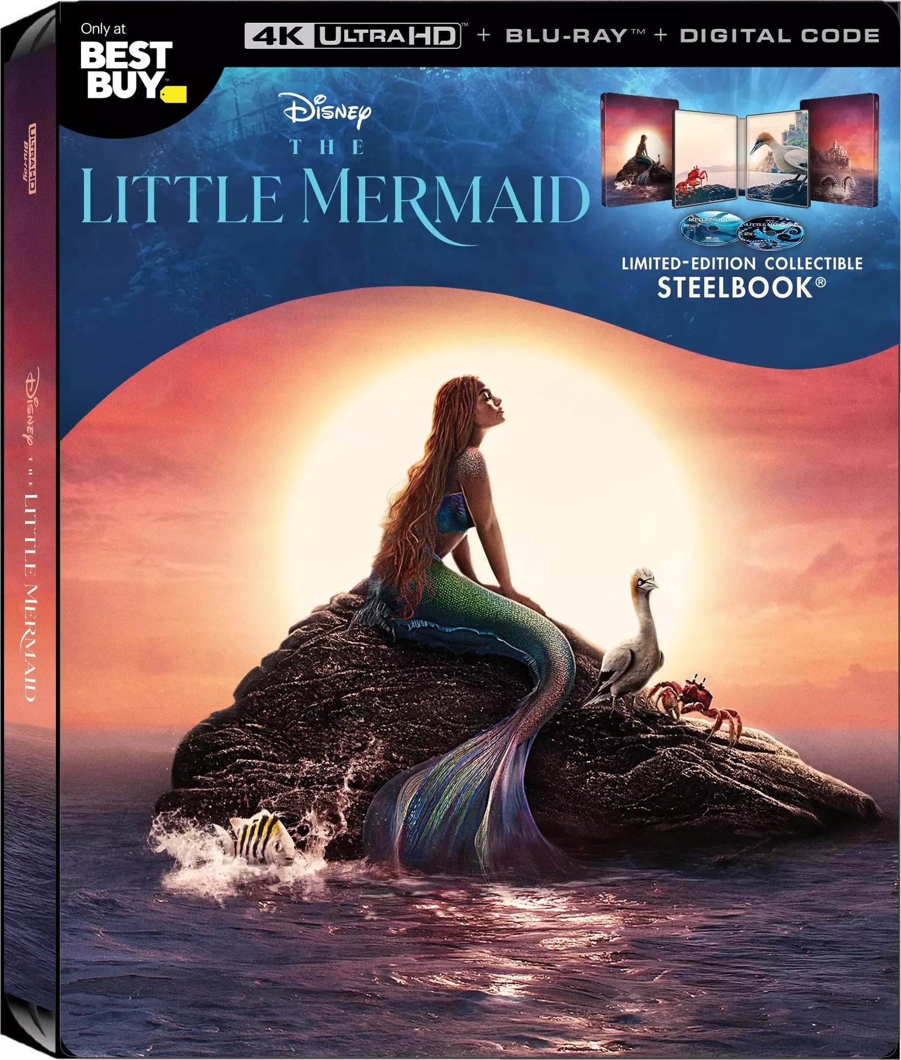 The Little Mermaid 4K SteelBook (2023)(Exclusive) Blurays For Everyone