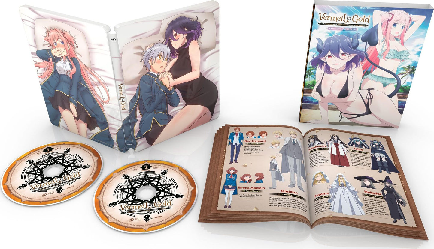 Vermeil in Gold: The Complete Collection SteelBook