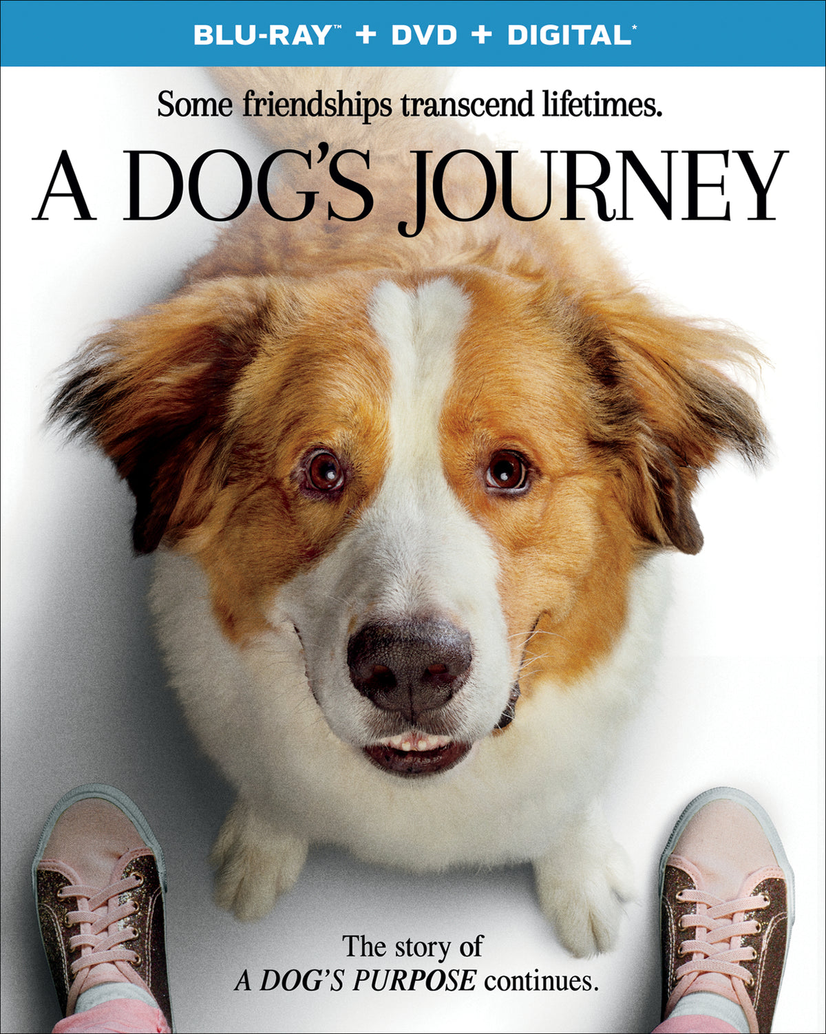 A Dog's Journey (Slip)