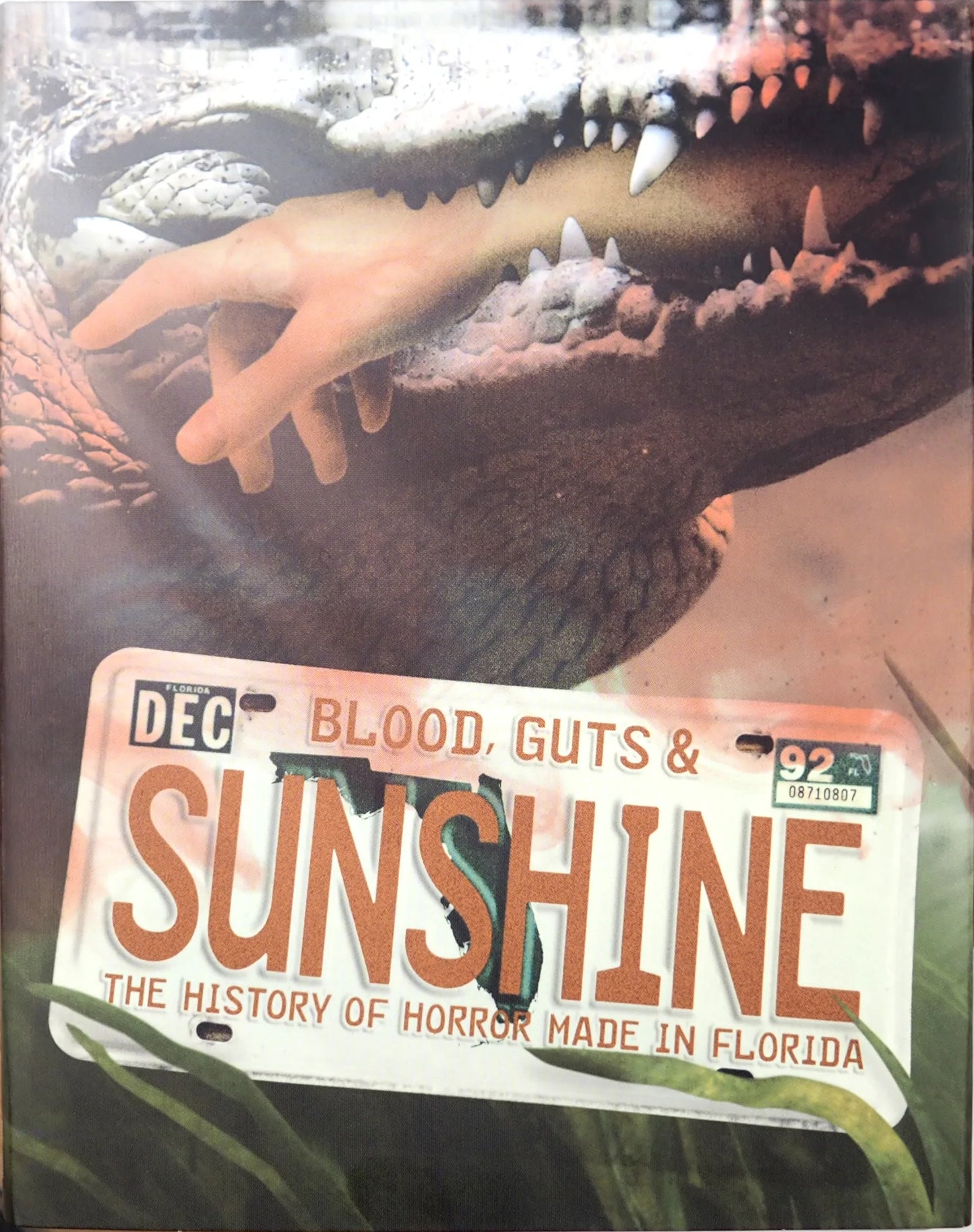 Blood, Guts and Sunshine: Limited Edition (TV-006)(Exclusive)