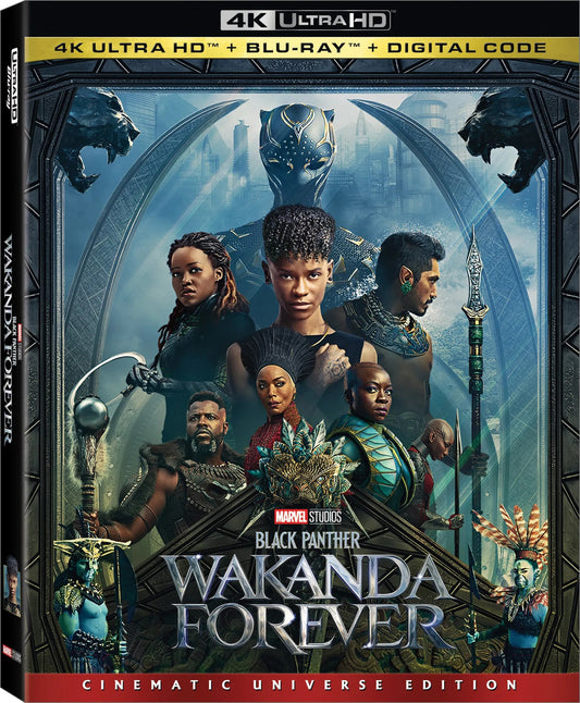 Black Panther: Wakanda Forever 4K (Slip)