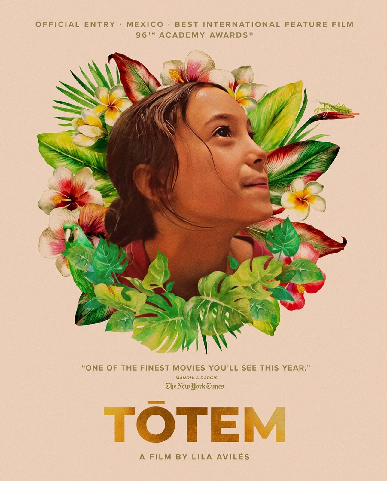 Totem: Criterion Collection – Blurays For Everyone