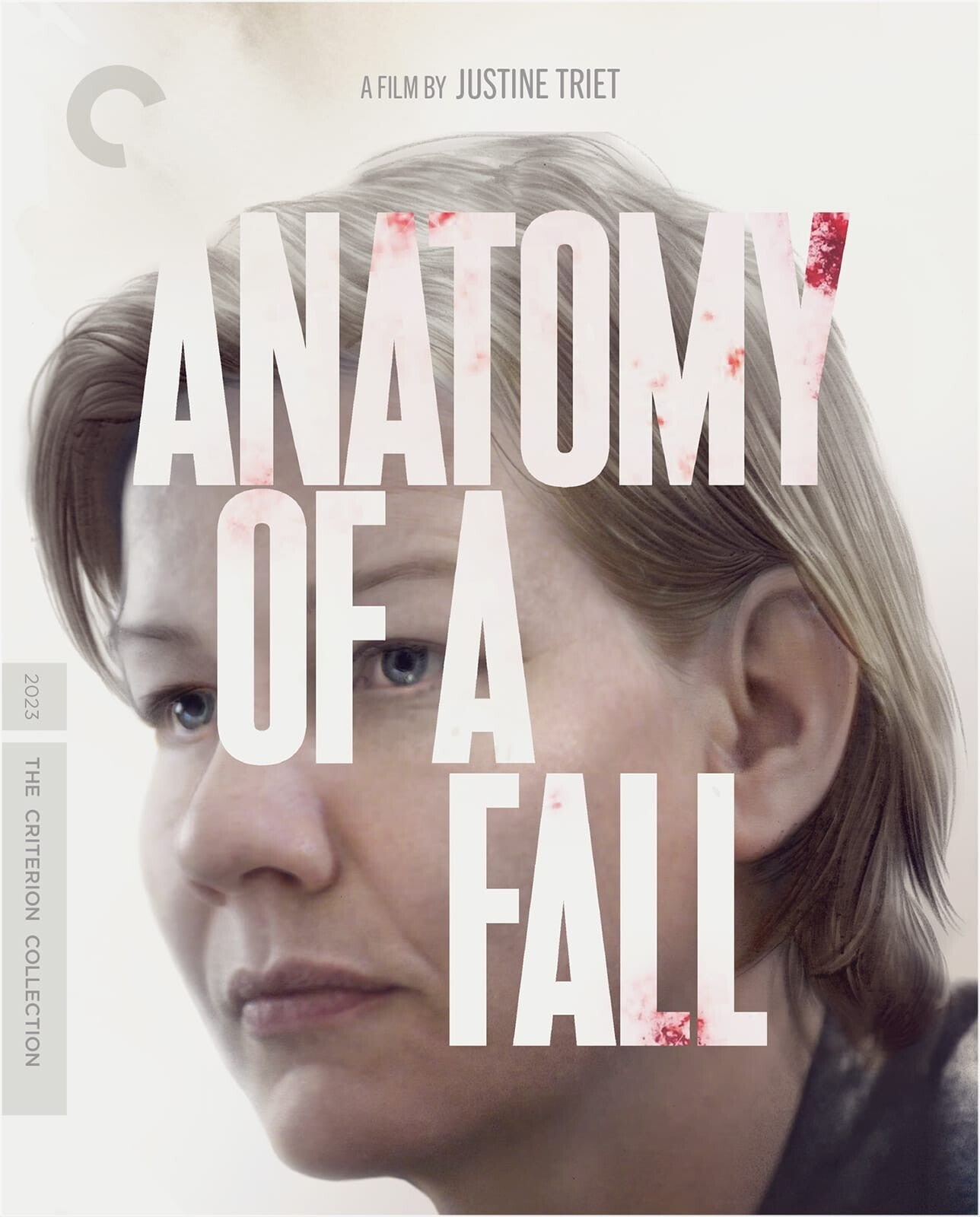 Anatomy of a Fall: Criterion Collection