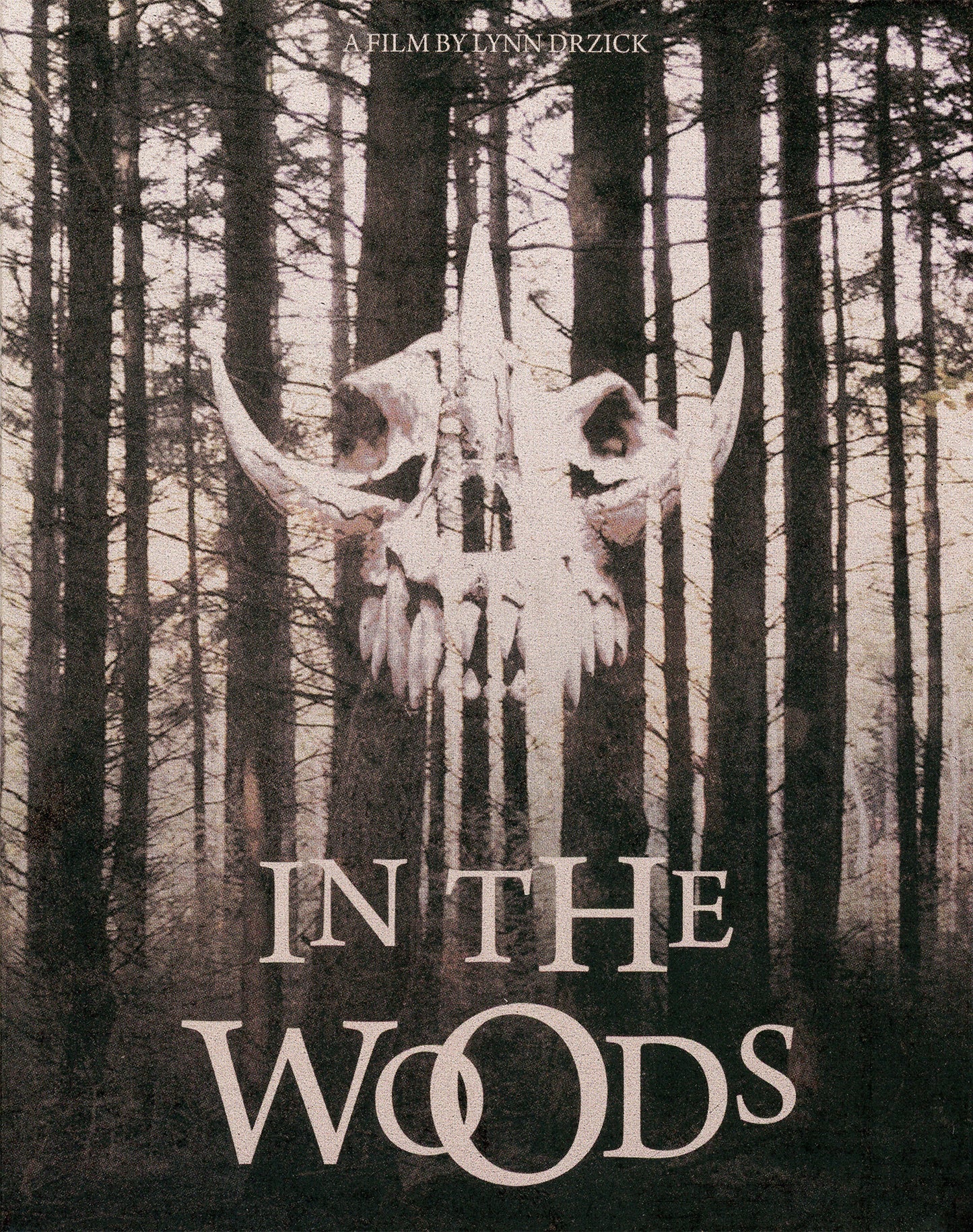 In the Woods: Limited Edition (TV-070)(Exclusive)