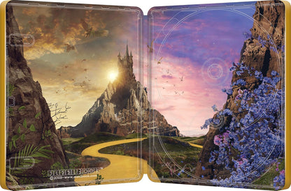 Wicked For Good 4K SteelBook: Yellow Edition (UK)