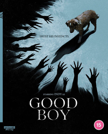 Good Boy 4K (2025)(UK)