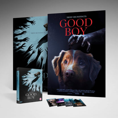 Good Boy 4K (2025)(UK)