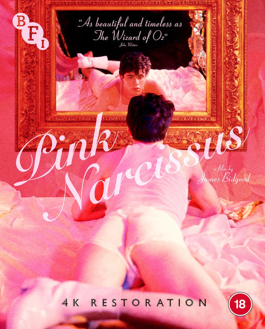 Pink Narcissus (UK)