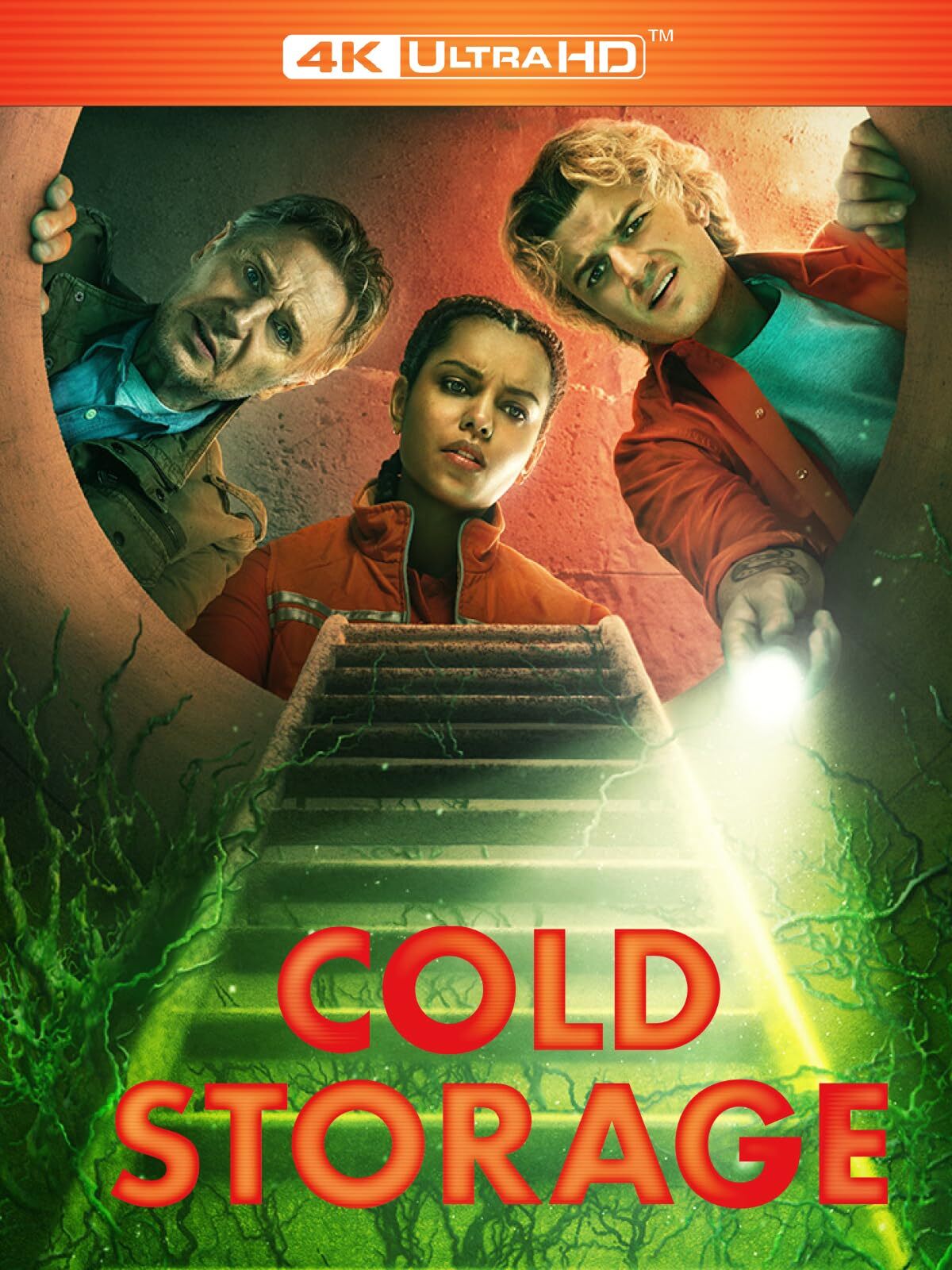 Cold Storage 4K