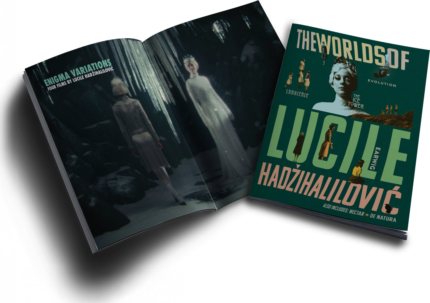 The Worlds of Lucile Hadzihalilovic