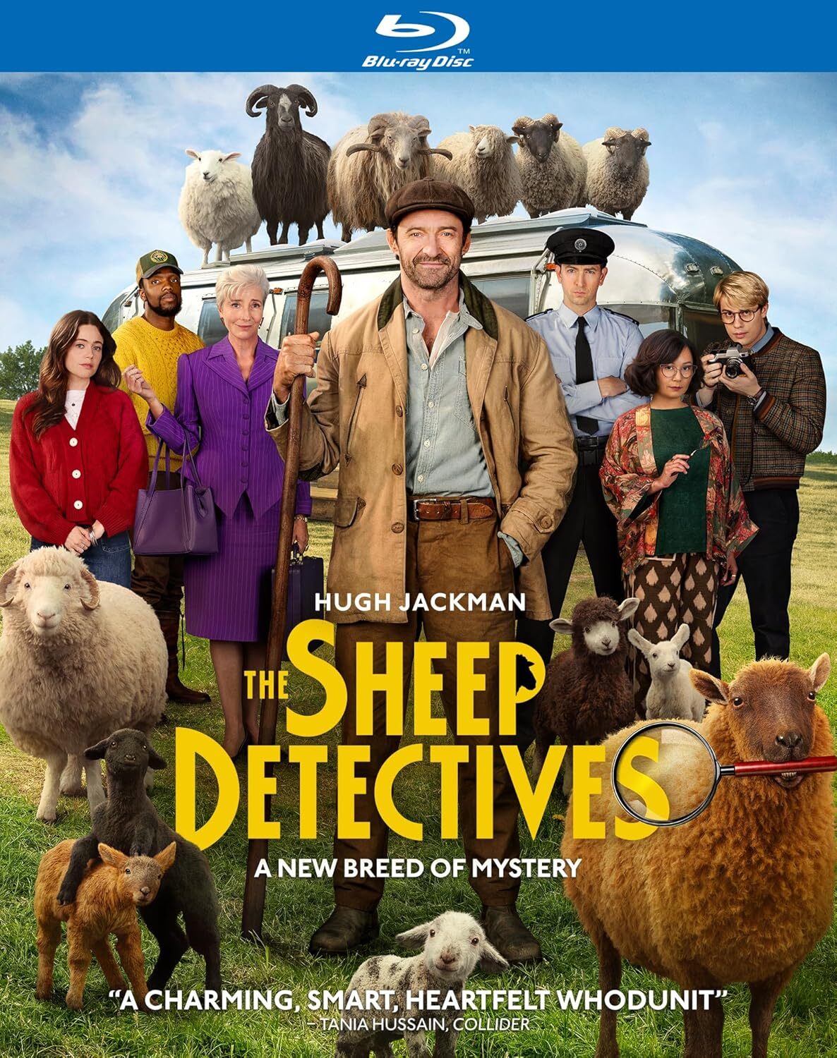 The Sheep Detectives