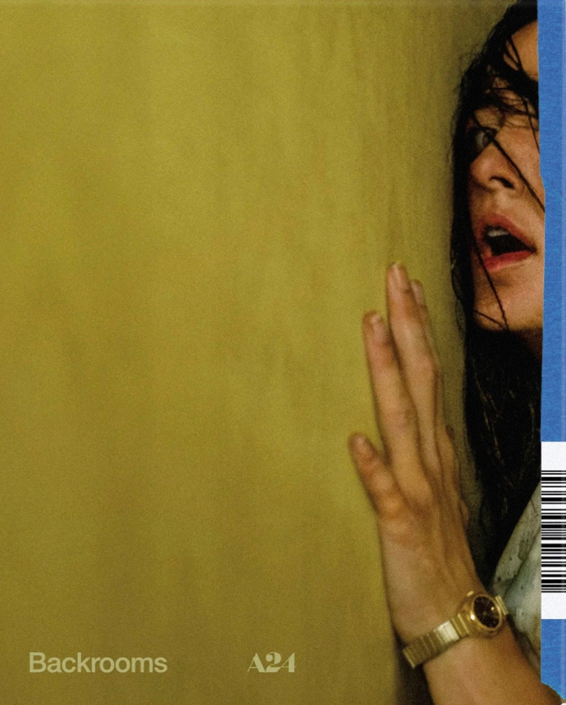 [Pre-Order] Backrooms 4K DigiPack (Exclusive)