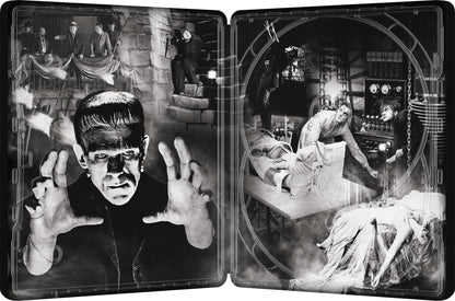 Frankenstein 4K SteelBook w/ Alex Ross Artwork (1931)(Re-Release)