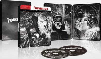 Frankenstein 4K SteelBook w/ Alex Ross Artwork (1931)(Re-Release)