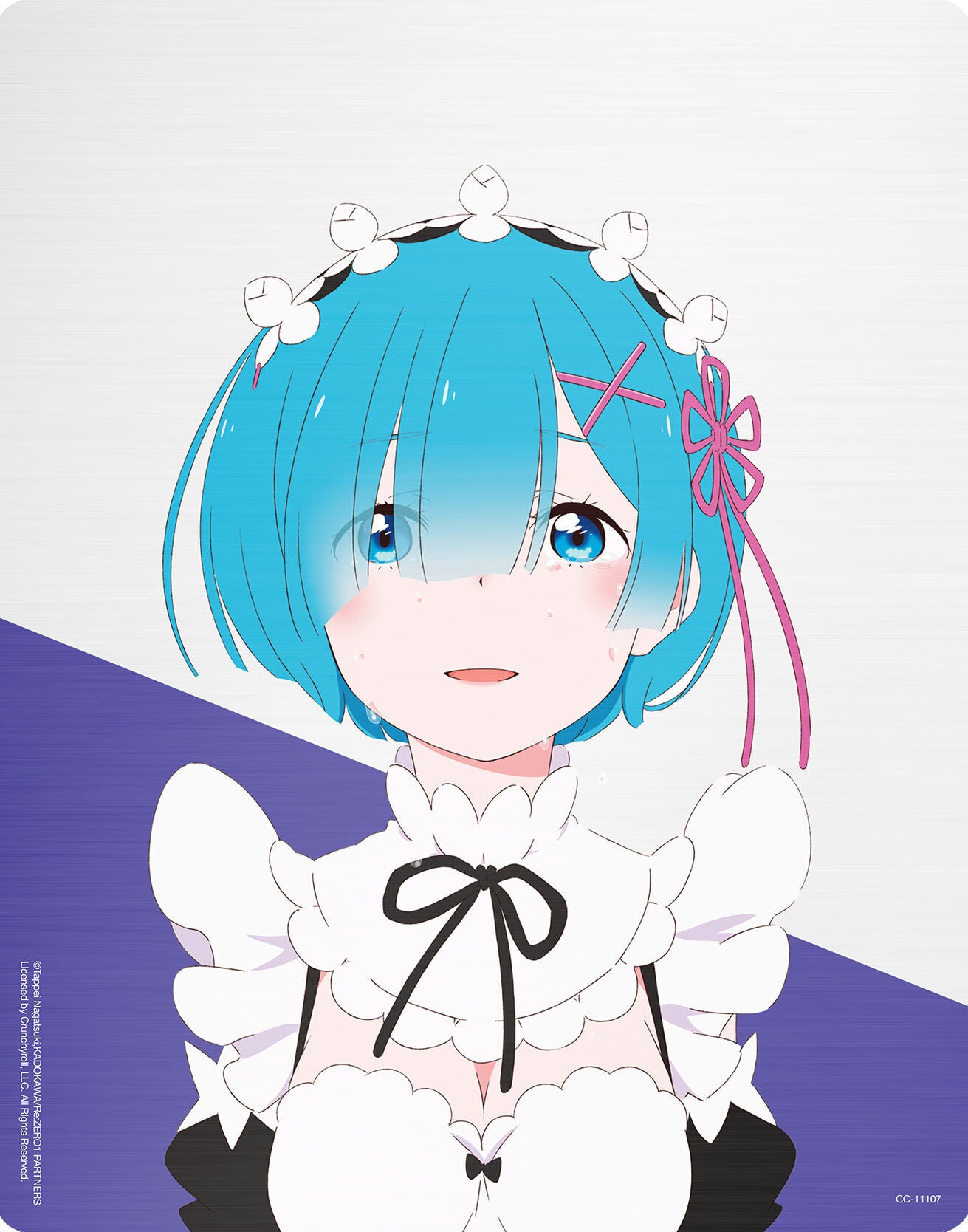 Re:Zero - Starting Life in Another World - Season 1 - Director's Cut SteelBook