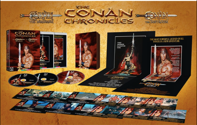 The Conan Chronicles: Limited Edition