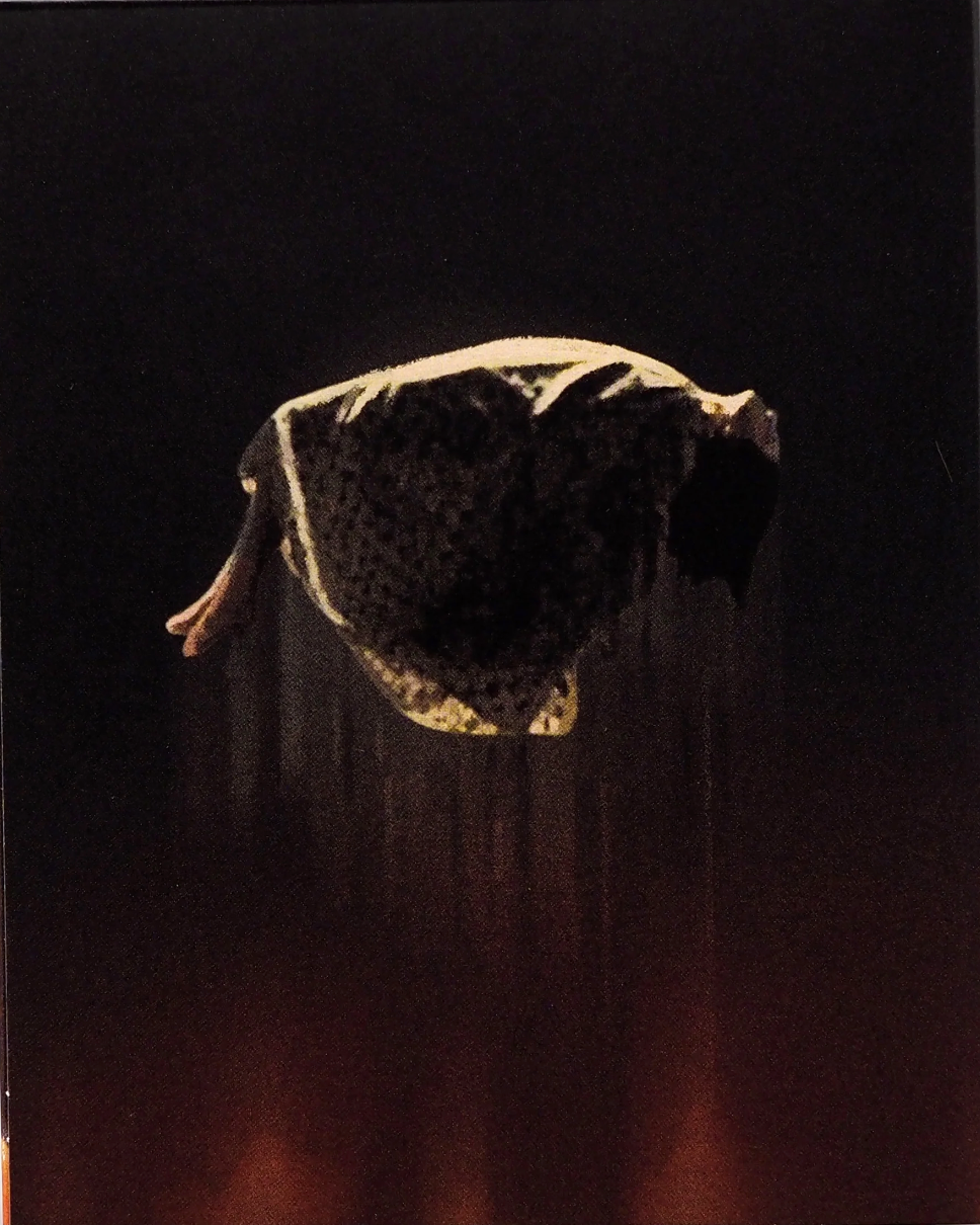 Rounding: Limited Edition (MBS-011)(Exclusive)*