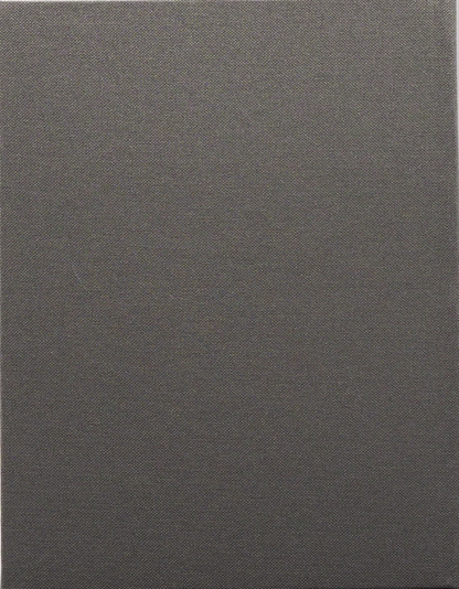 The Woman Chaser: Limited Edition DigiBook (CIN-022)(Exclusive)*