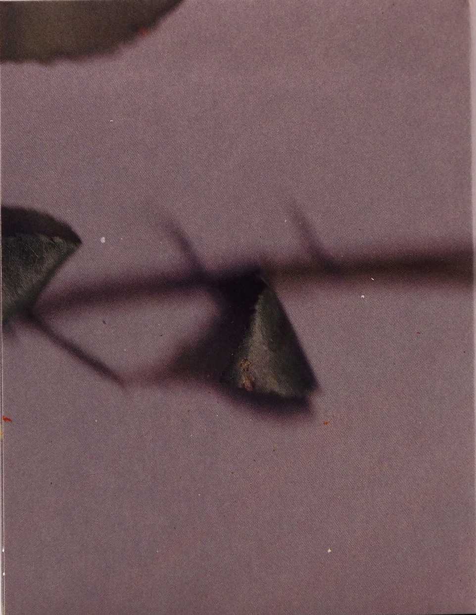 Young and Beautiful: Limited Edition (IFC-016)(Exclusive)*