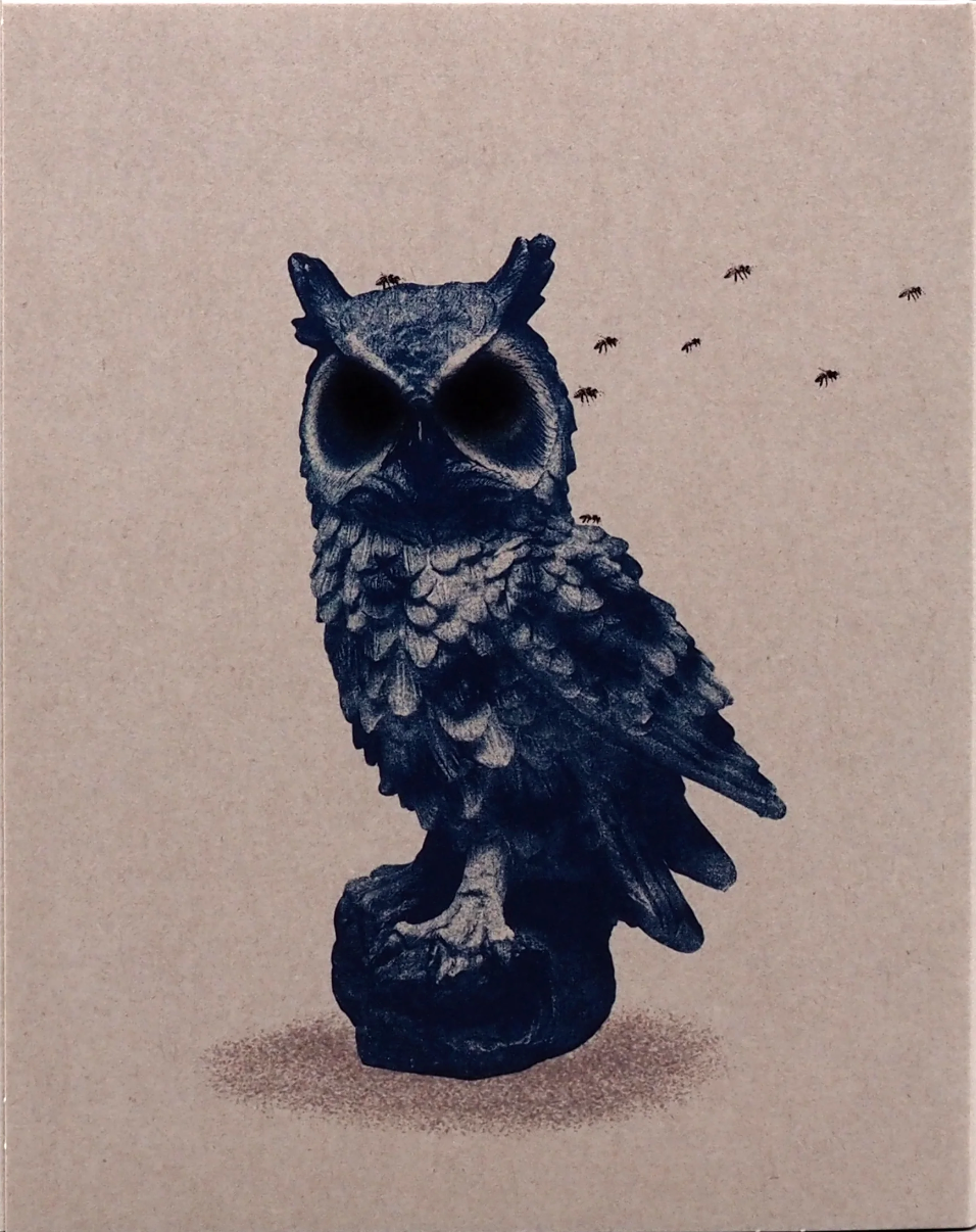 Irresistible: Limited Edition (2006)(UMB-018)(Exclusive)*