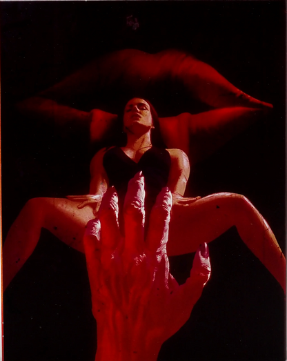 The Disco Exorcist: Limited Edition (WER-001)(Exclusive)*