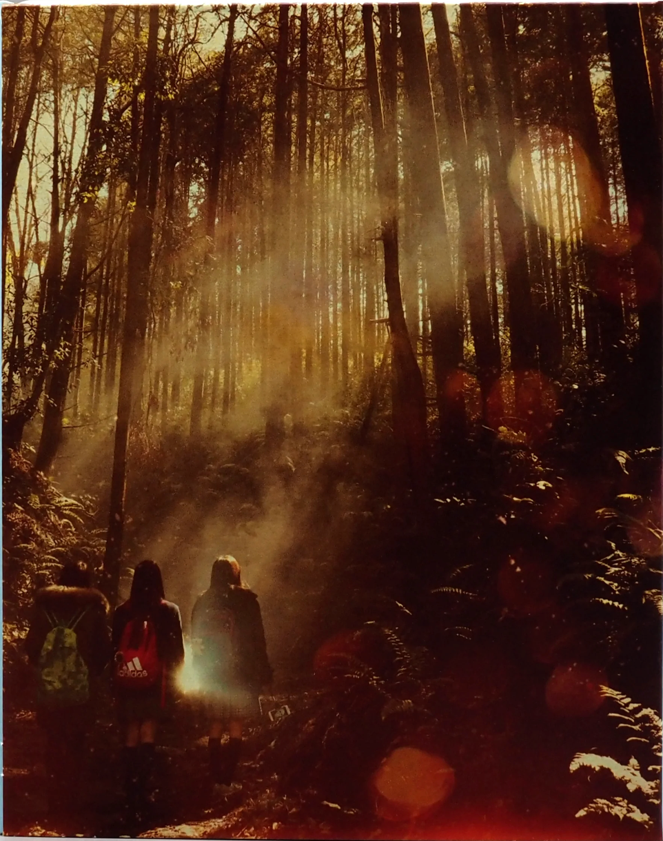 Fuji_Jukai.mov: Limited Edition (BS-011)(Exclusive)*