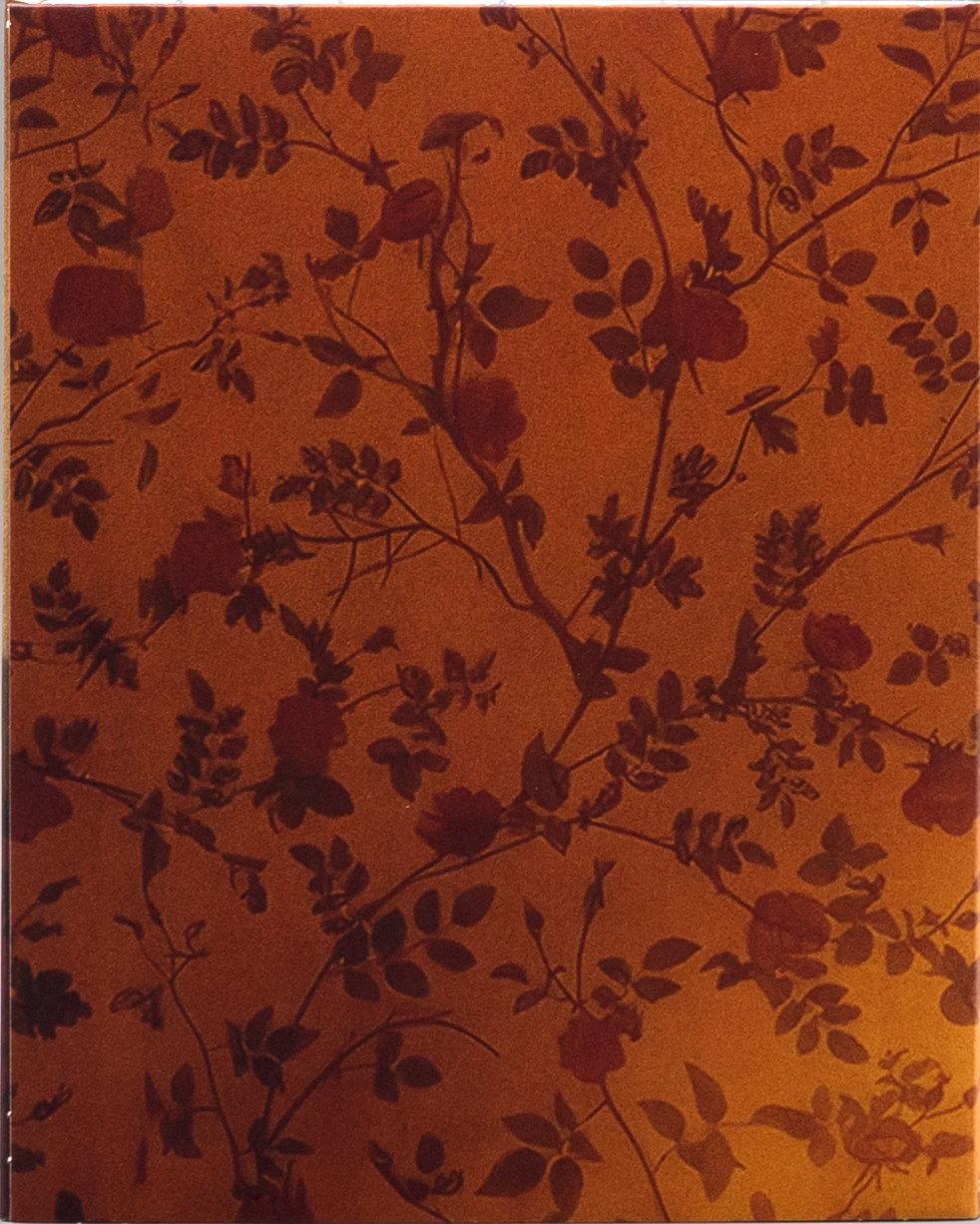 Lilly Lives Alone: Limited Edition (DSKY-003)(Exclusive)*
