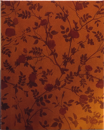 Lilly Lives Alone: Limited Edition (DSKY-003)(Exclusive)*