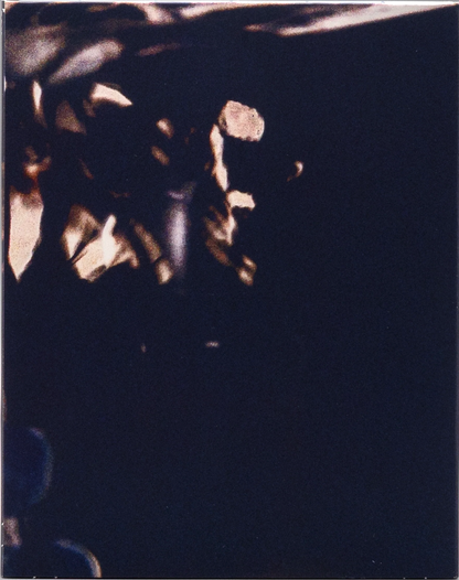 The Novice: Limited Edition (2021)(IFC-025)(Exclusive)*