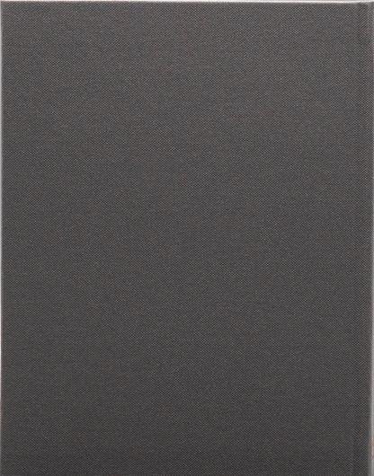 Badge 373: Limited Edition DigiBook (CIN-031)(Exclusive)*