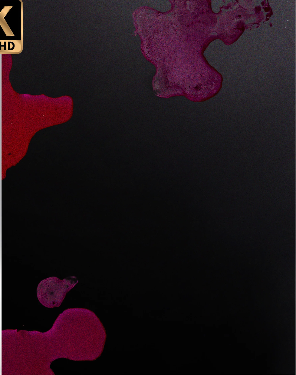 Office Killer 4K: Limited Edition (VS-529)(Exclusive)*