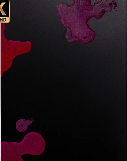 Office Killer 4K: Limited Edition (VS-529)(Exclusive)*