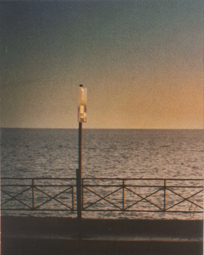 [Pre-Order] All That's Left of You: Limited Edition (WP-004)(Exclusive)