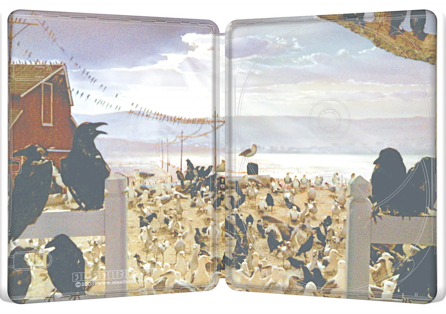 The Birds 4K SteelBook (UK)