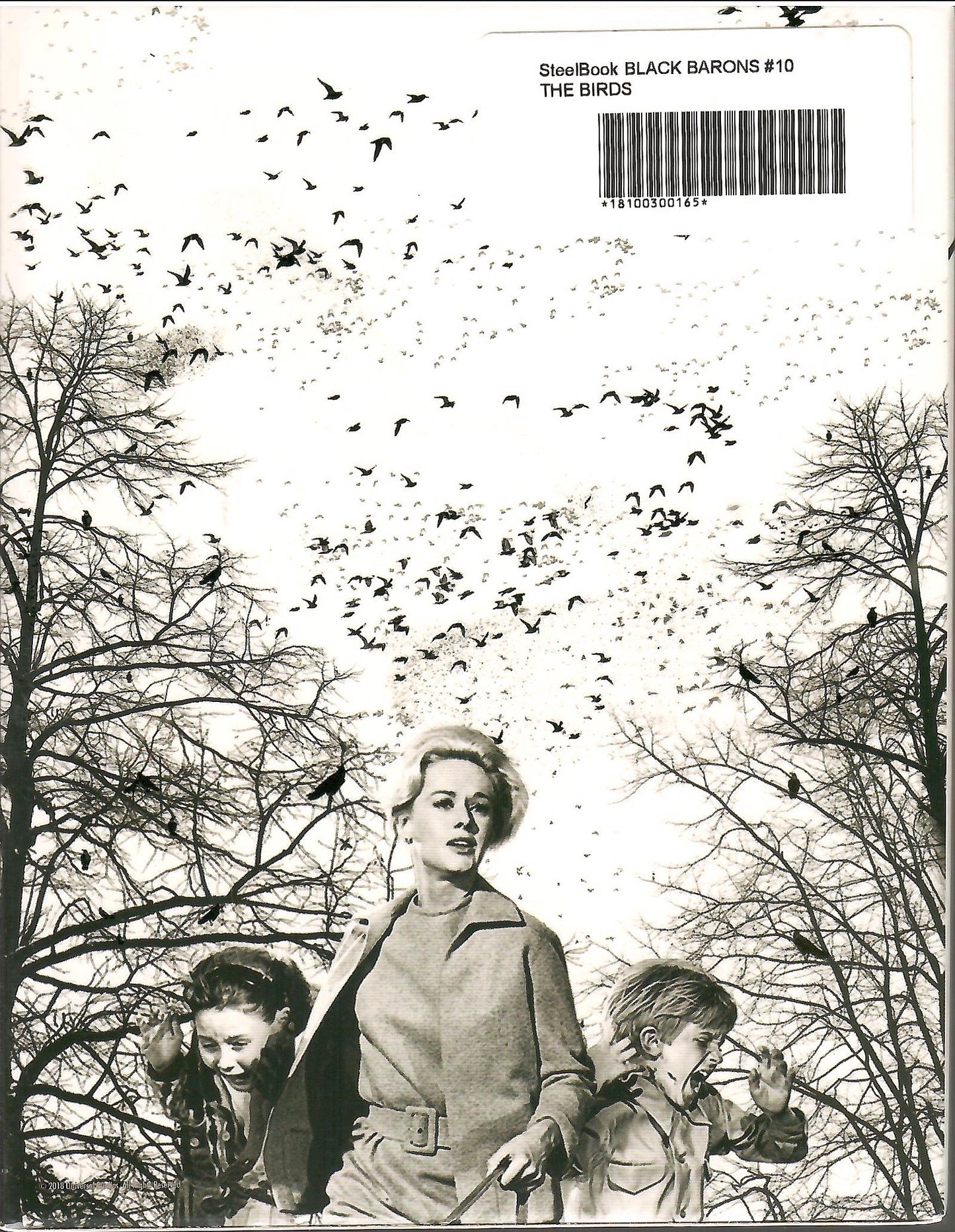 The Birds Full Slip SteelBook (BB#10)(Czech)
