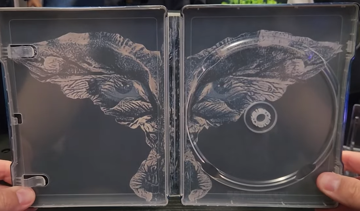 The Crow 4K SteelBook: 30th Anniversary Edition (1994)(Re-release)