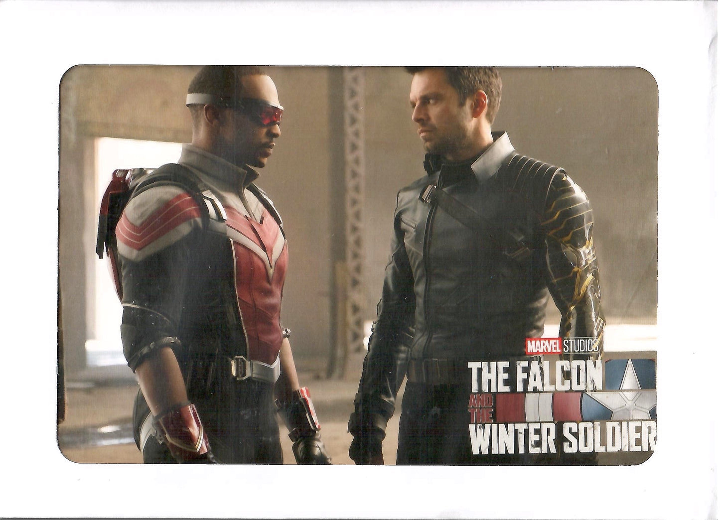 The Falcon and the Winter Soldier: Season 1 Disney Movie Club Lithograph