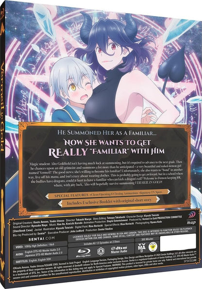 Vermeil in Gold: The Complete Collection SteelBook